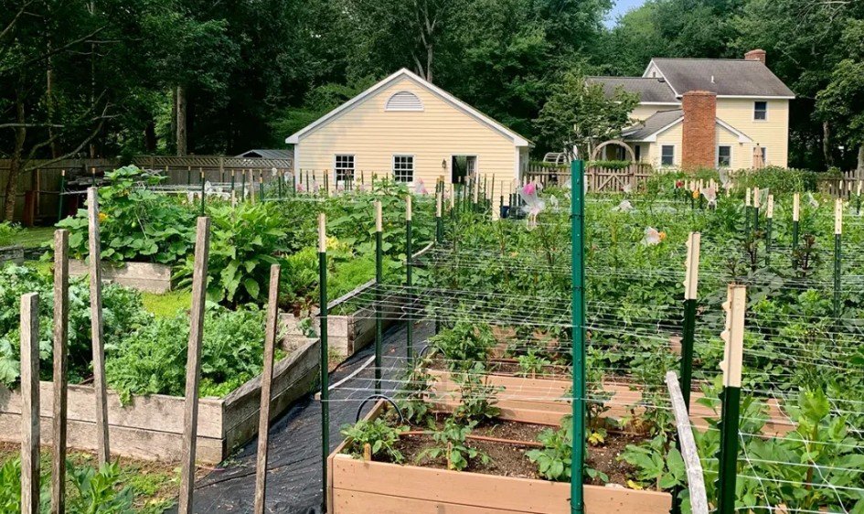 Agriculture Fresh Farm Garden Ideas
