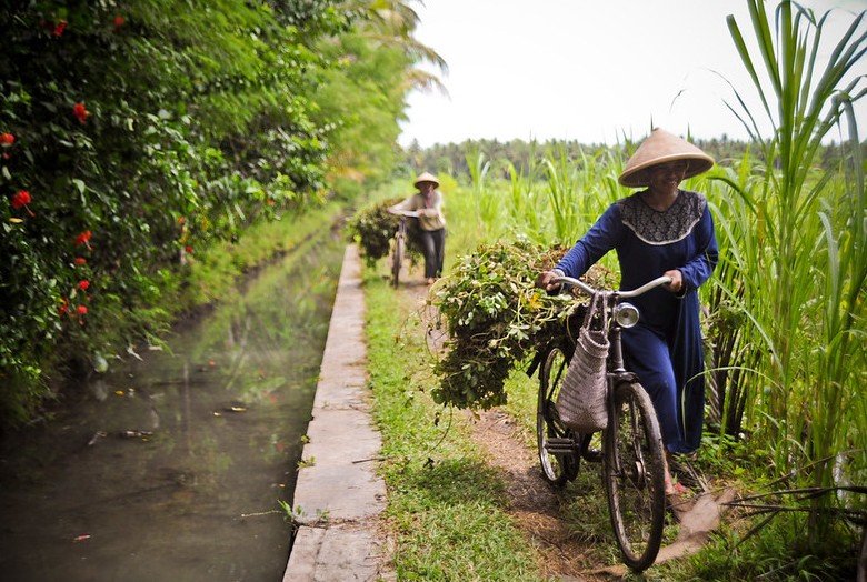 Agriculture in indonesia