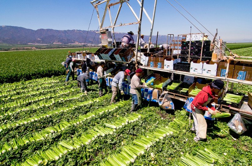 Agriculture in the United States