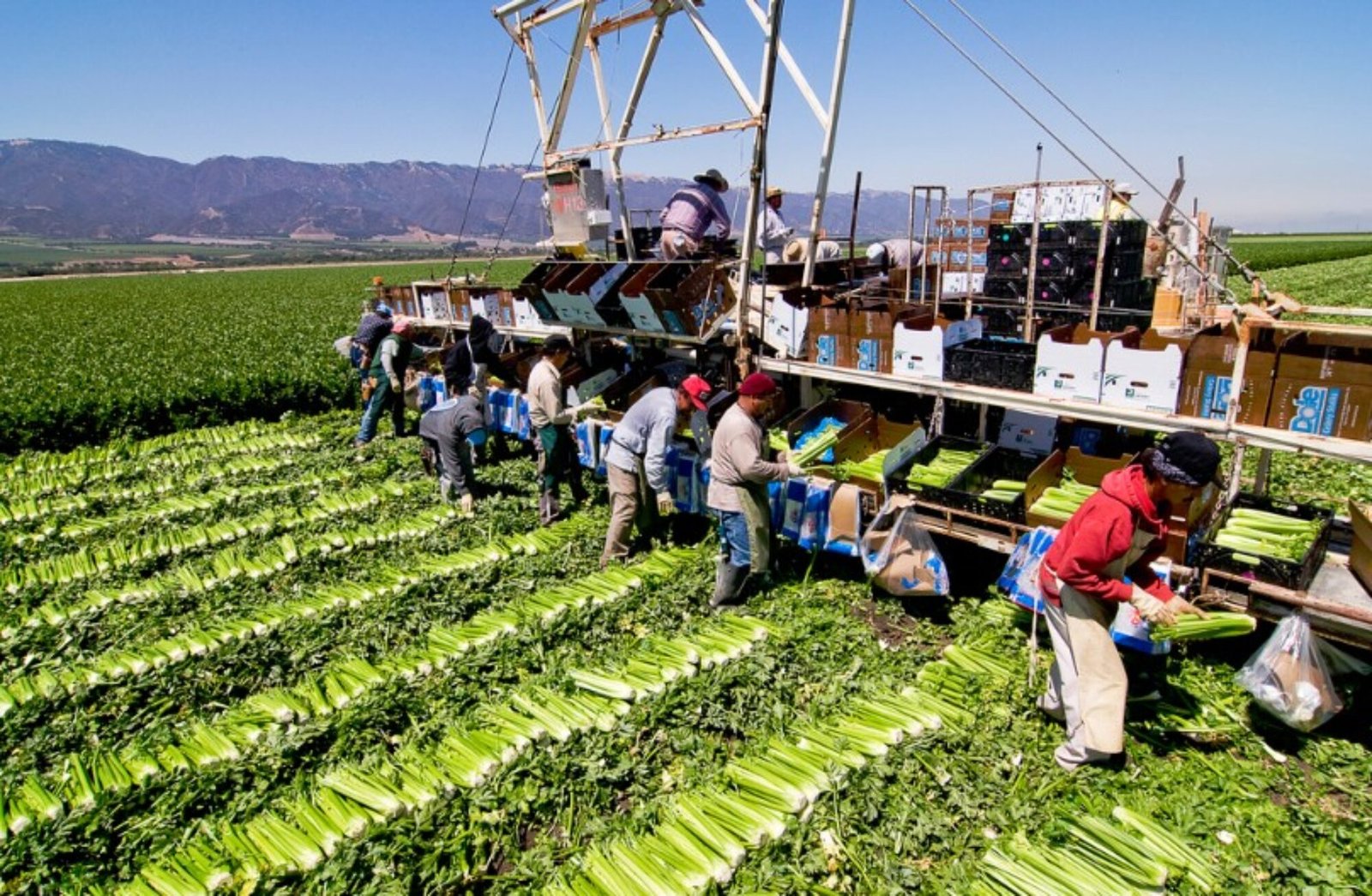 Agriculture in the United States