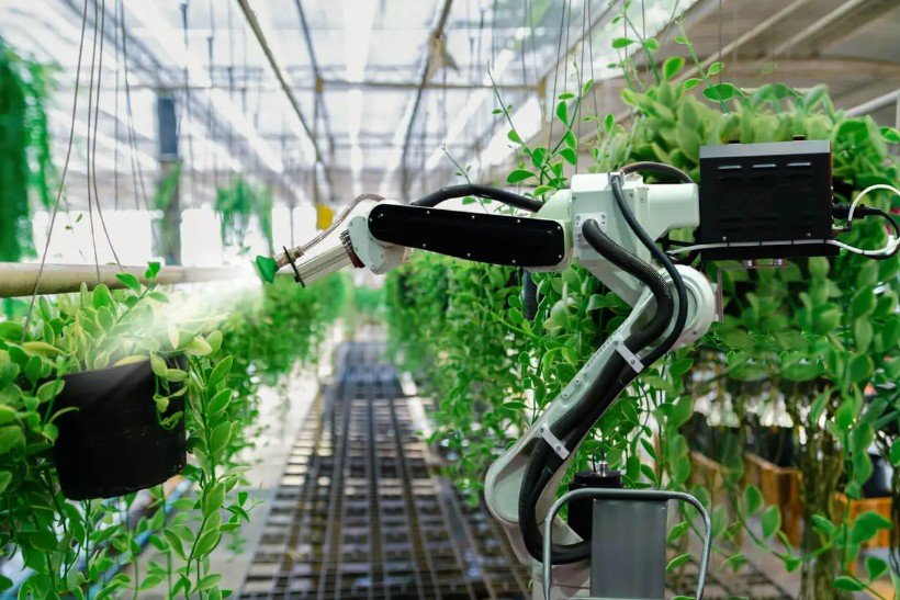 Emerging Agricultural Research Trends Shaping the Future of Farming