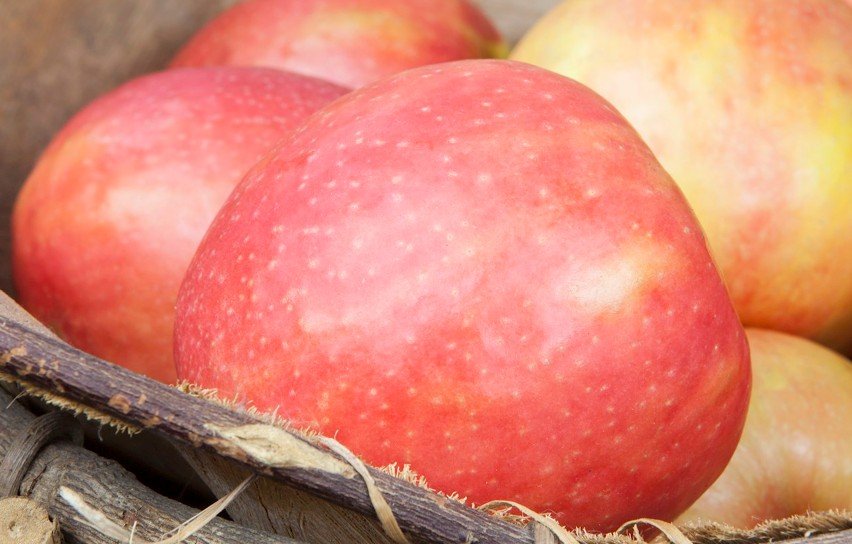 Cripps Pink Apples
